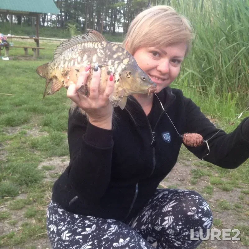 Carp, Crucian carp — Krasnodarskiy kray, Dinskoy rayon, May 13, 2018