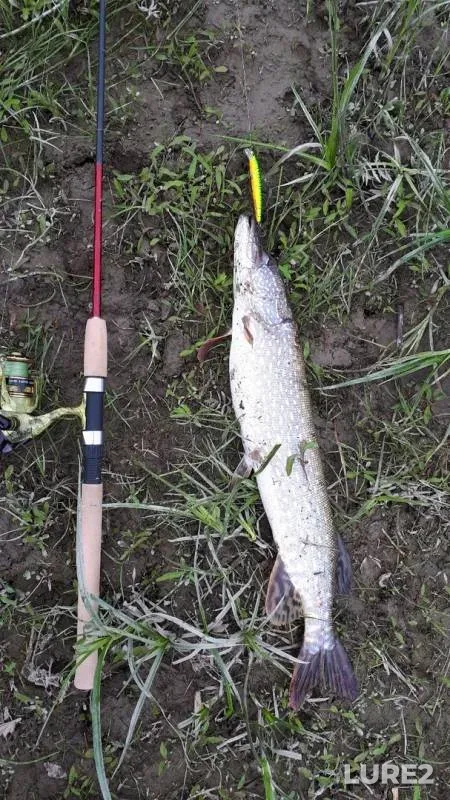 Pike — Yenisey, Jun 08, 2019