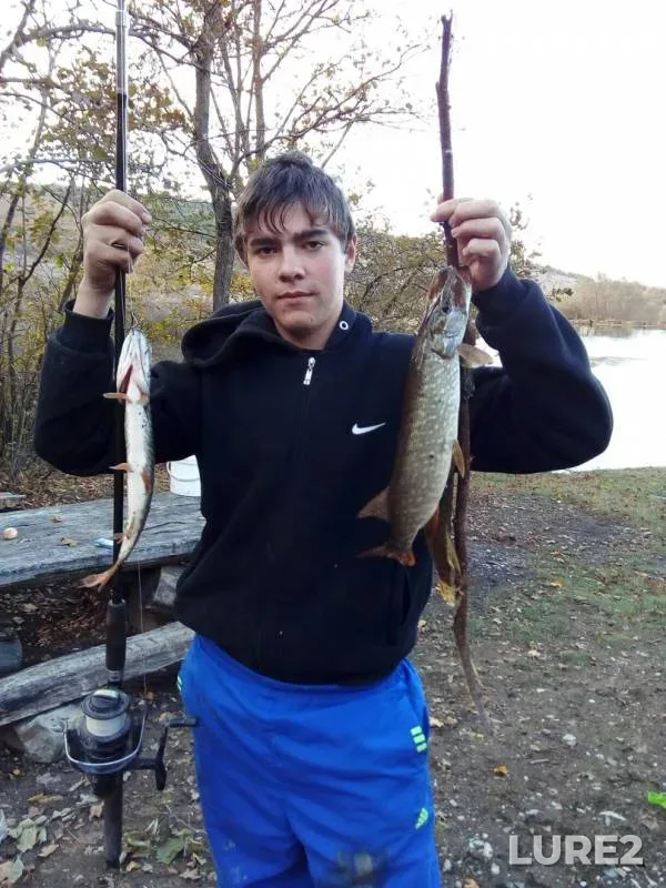 Pike — Krasnodarskiy kray, Oct 26, 2017