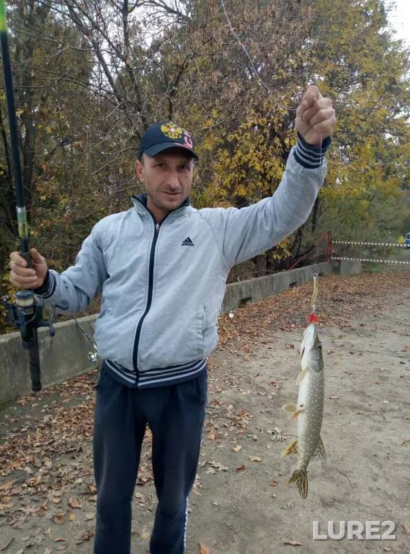 Pike — Krasnodarskiy kray, Dinskoy rayon, Oct 22, 2017