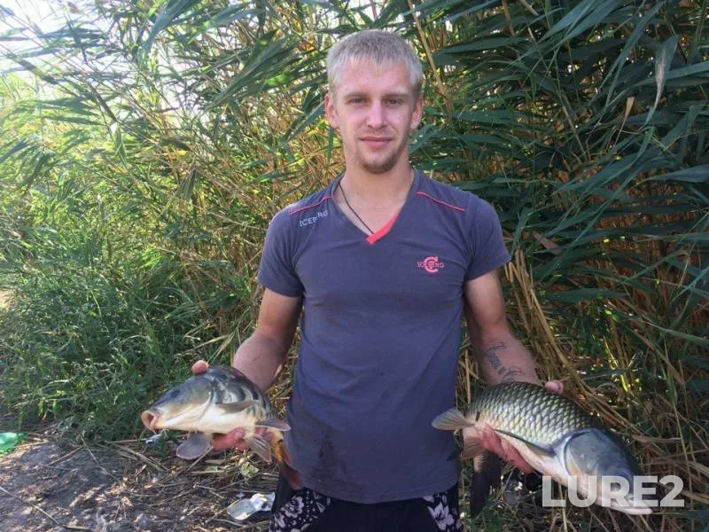 Bream, Carp — Beysuzhek Levyy, Sep 05, 2017