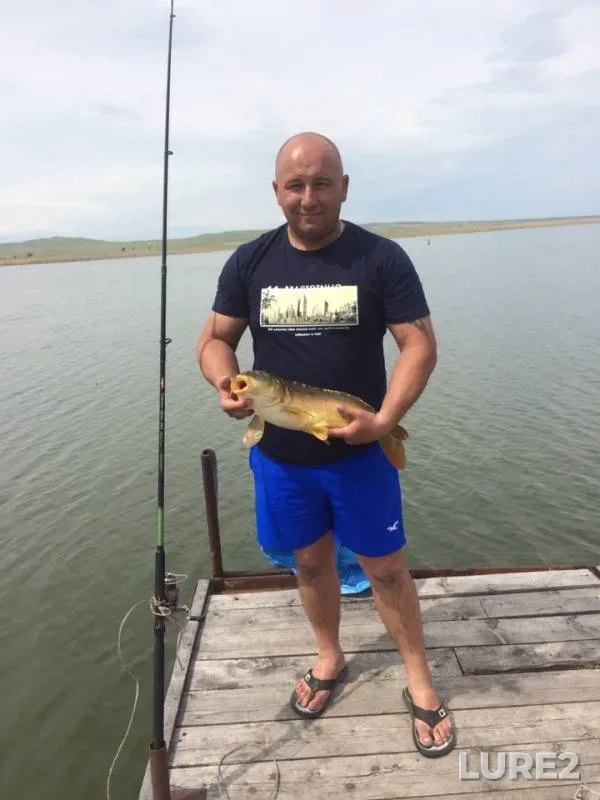 Carp, Perch — Respublika Khakasiya, Jun 09, 2019