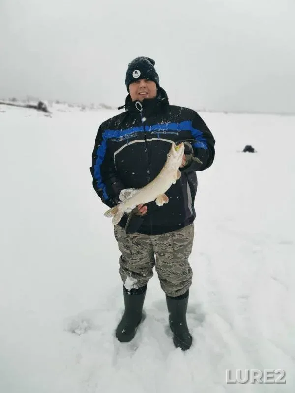 Pike — protoka, Nov 19, 2019