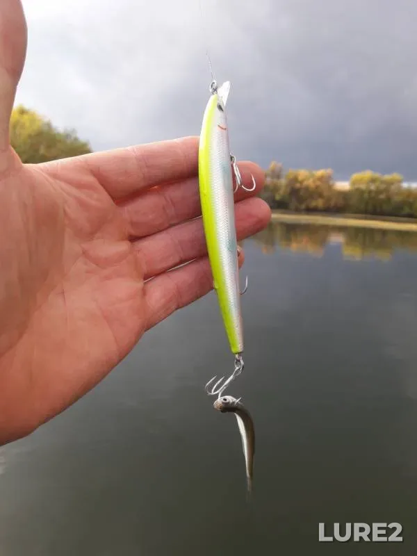 Pike — Malaya Chyornaya rechka, Sep 25, 2019