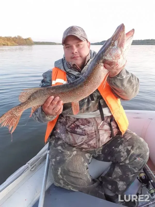 Pike, Zander — Ob, Sep 18, 2019