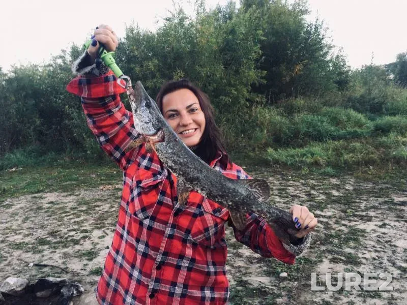 Pike — Zolootval, Aug 30, 2019