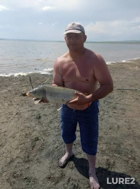 Carp — Krasnoyarskiy kray, Jun 16, 2019