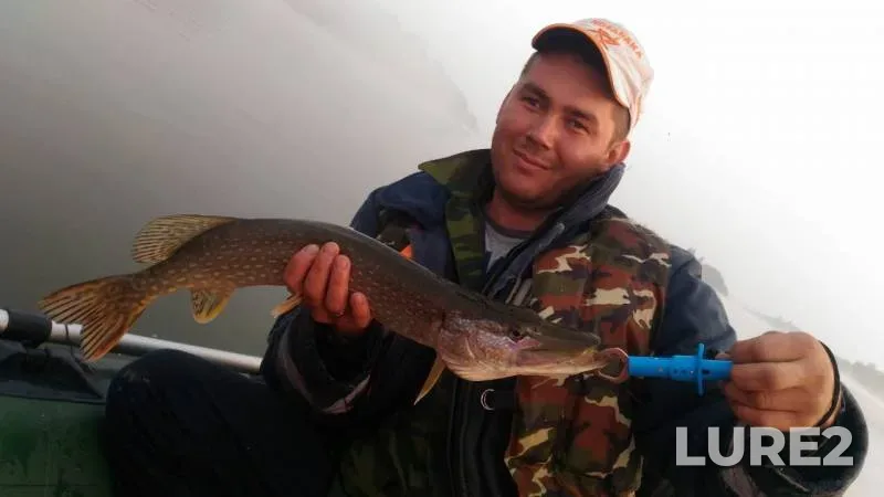 Pike — Tom, Aug 29, 2019