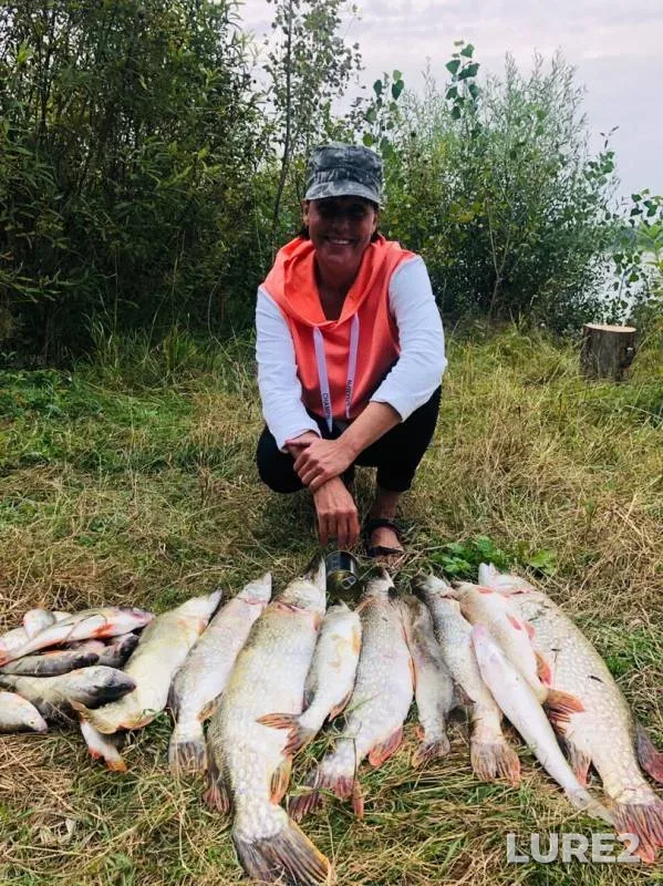 Perch, Pike — Ob, Aug 25, 2019