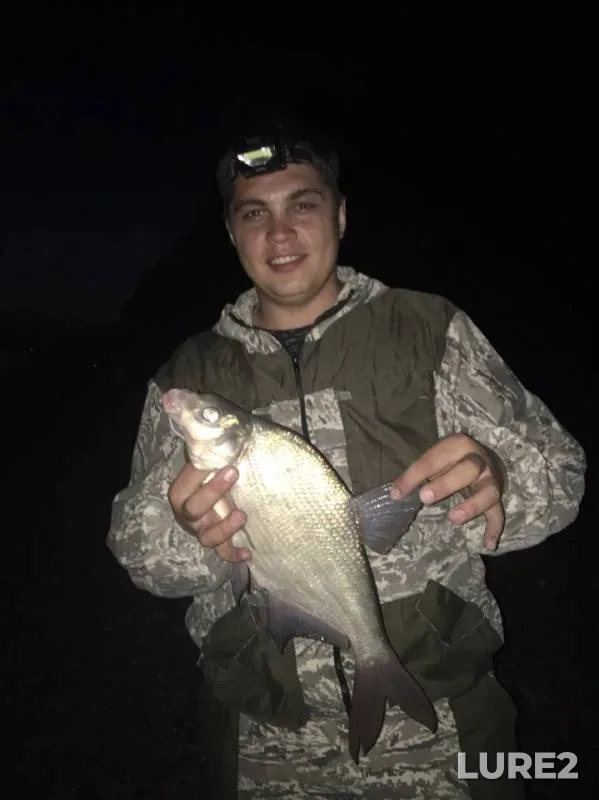 Bream, Ide — Ob, Aug 04, 2019