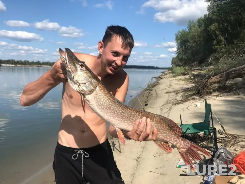 Pike — Ob, Aug 08, 2019
