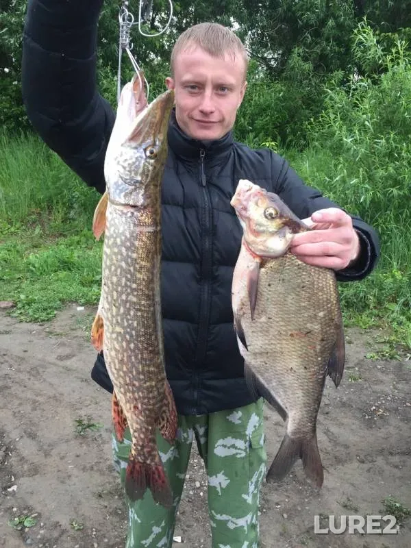 Bream, Pike — Tom, Jun 20, 2019