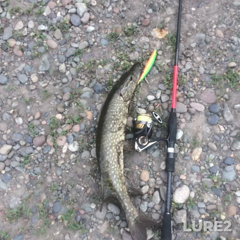 Pike — Minusinskaya protoka, Jul 09, 2019