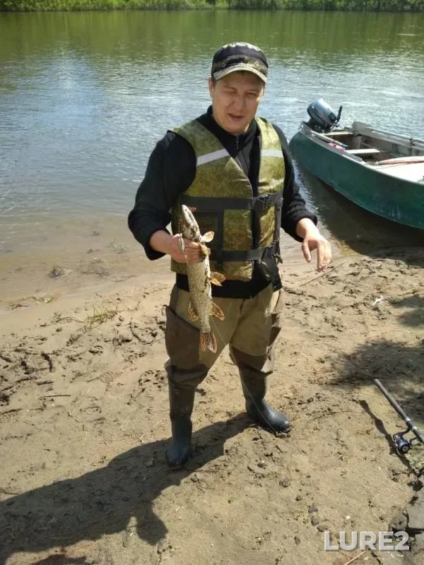 Pike — Kamyshka, Jun 11, 2019