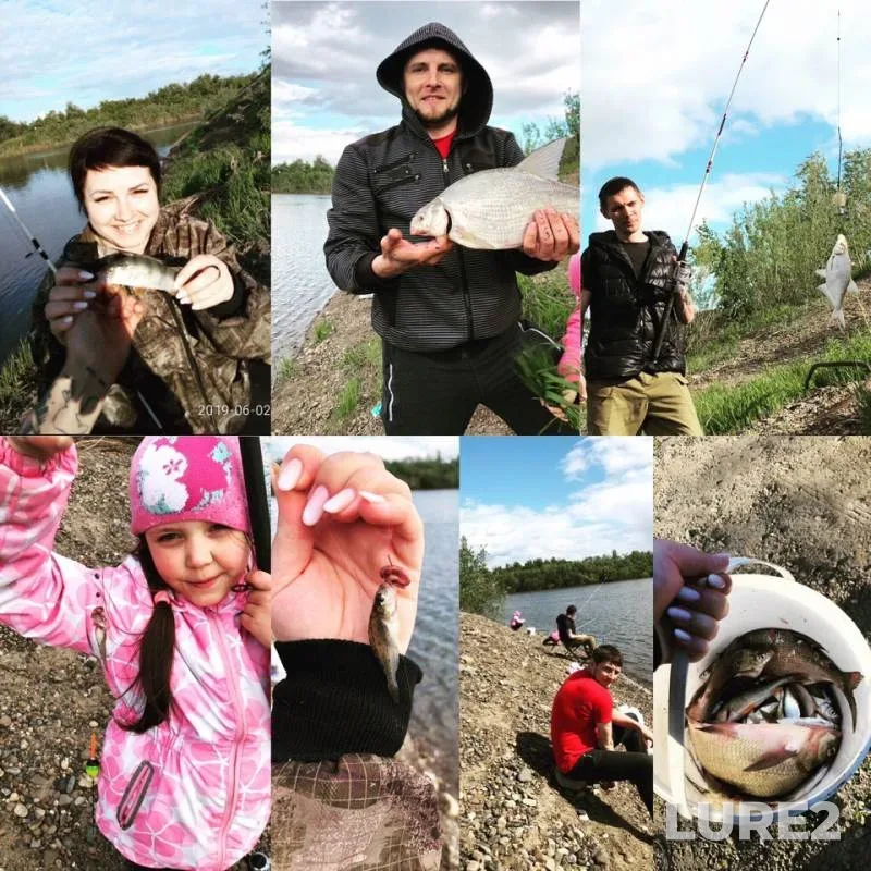 Bream, Perch — Eushtinskaya protoka, Jun 02, 2019