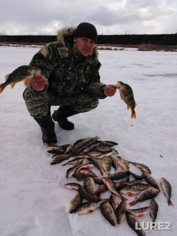 Perch — Voronopashenskoye, Apr 14, 2019