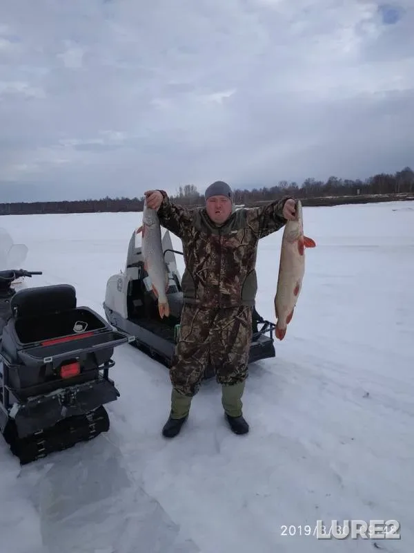 Pike — Ob, Apr 01, 2019