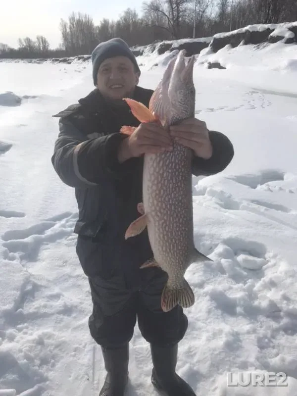 Pike — Ob, Mar 17, 2019