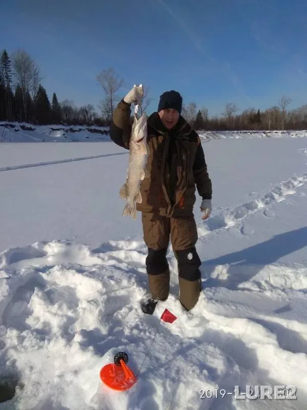 Pike, Zander — Chulym, Feb 24, 2019