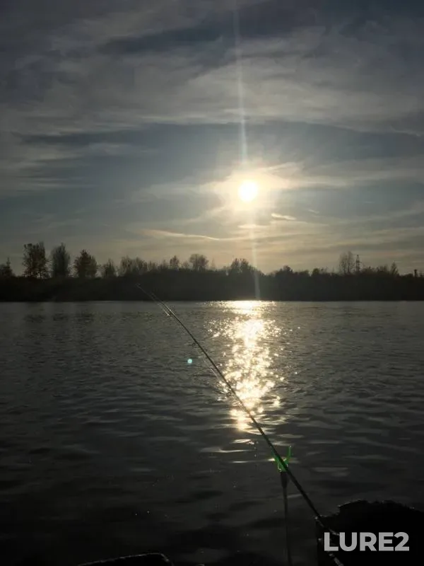 Bream, Crucian carp — Tura, Oct 08, 2019