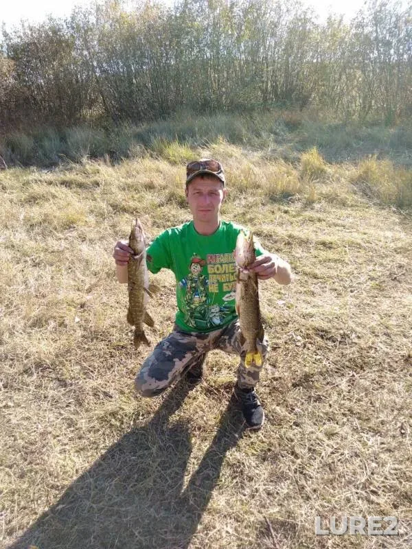 Carp, Pike — Verkhneuralskoye, Oct 11, 2017