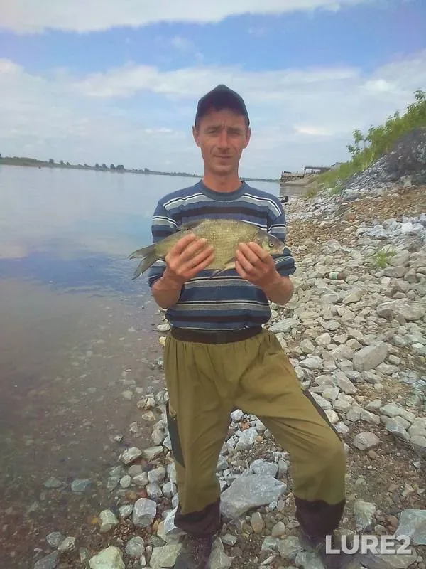 Bream, Ide — Tom, Feb 02, 2019