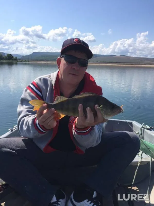 Perch — Bakhchisarayskoye, Jul 13, 2019