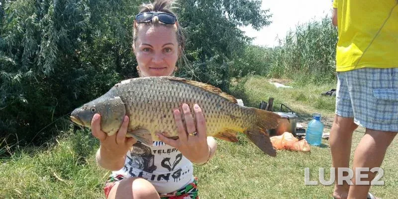 Carp — Avtonomna Respublika Krim, Jul 21, 2019