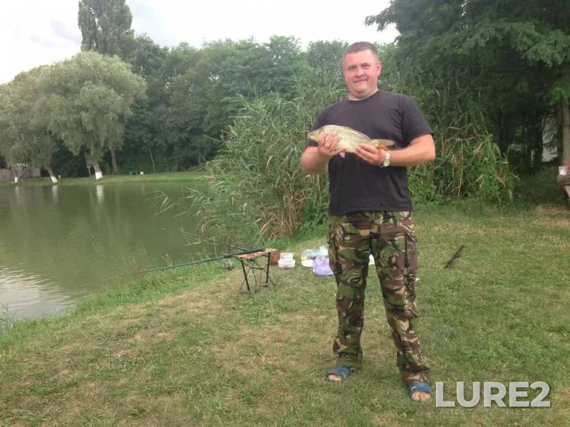 Carp — Staryy (shkolnyy), Jul 24, 2016