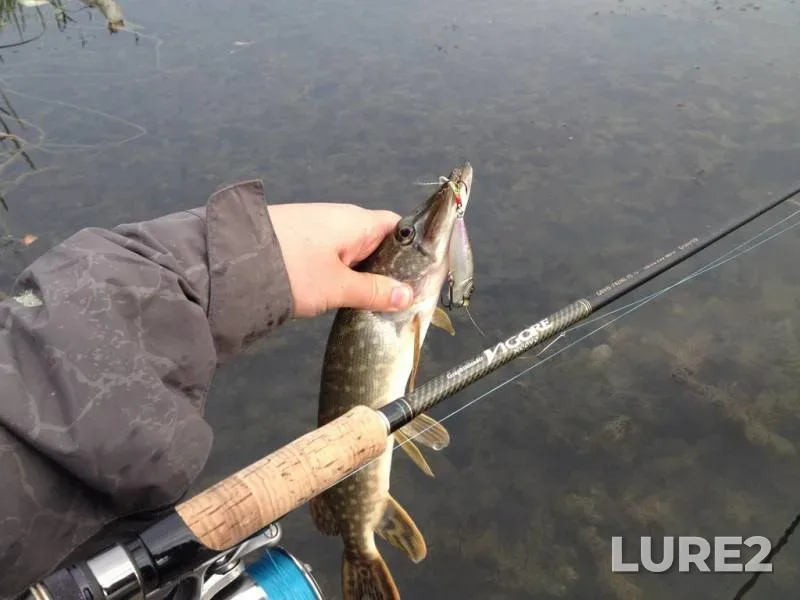 Perch, Pike — Biyuk-Karasu, Oct 03, 2015