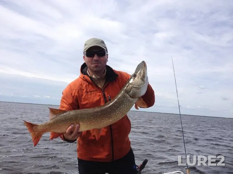 Perch, Pike — Respublika Kalmykiya, Aug 03, 2014