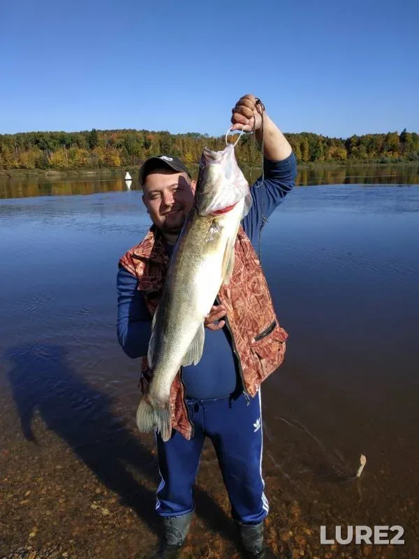 Zander — Nurguzhskiy istok, Sep 14, 2019