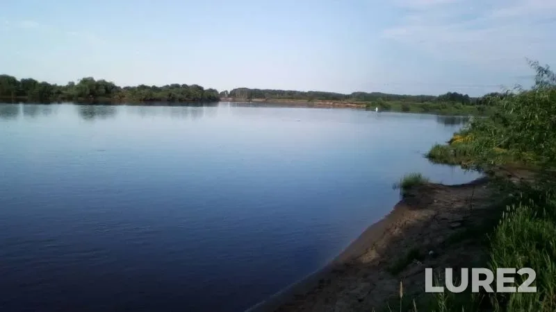 Perch — Vyatka, Jun 22, 2019