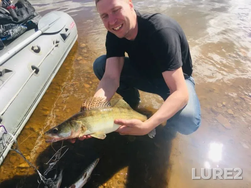 Perch, Pike — Kirovskaya oblast, Jun 16, 2019