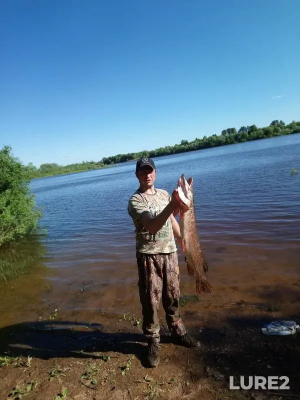 Pike — Vyatka, Jun 15, 2019