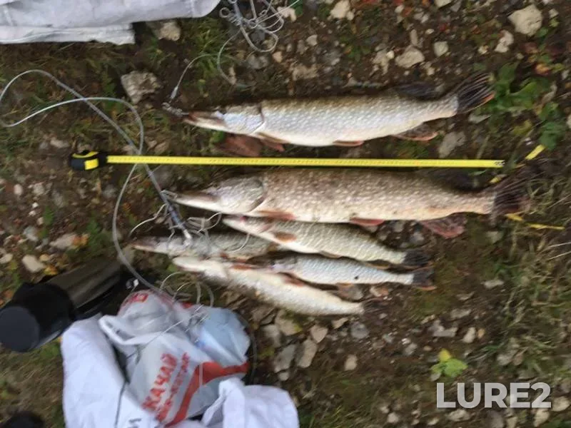 Pike — Kirovskaya oblast, Oct 07, 2018