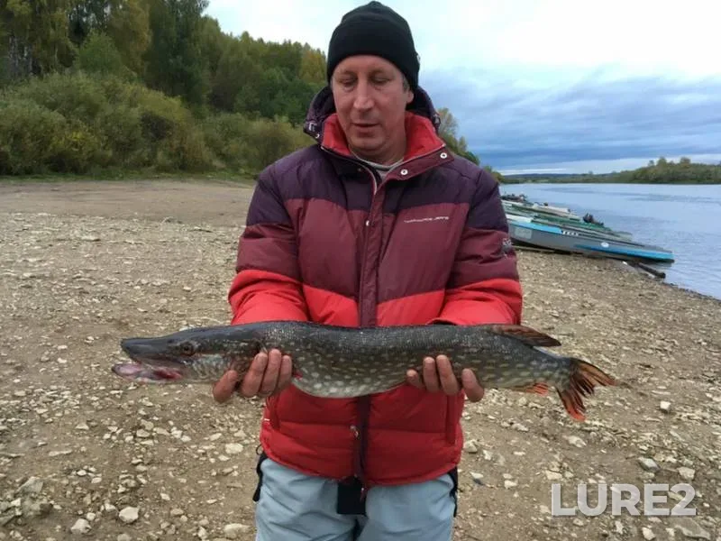 Pike — Ishlyk, Sep 29, 2018