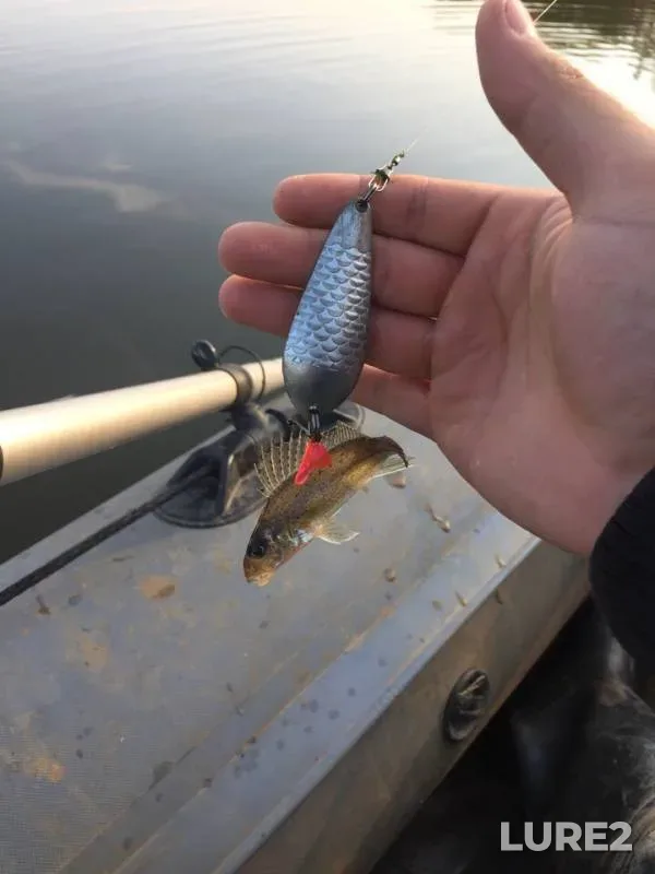 Perch, Pike — Sharyanka, Sep 24, 2018