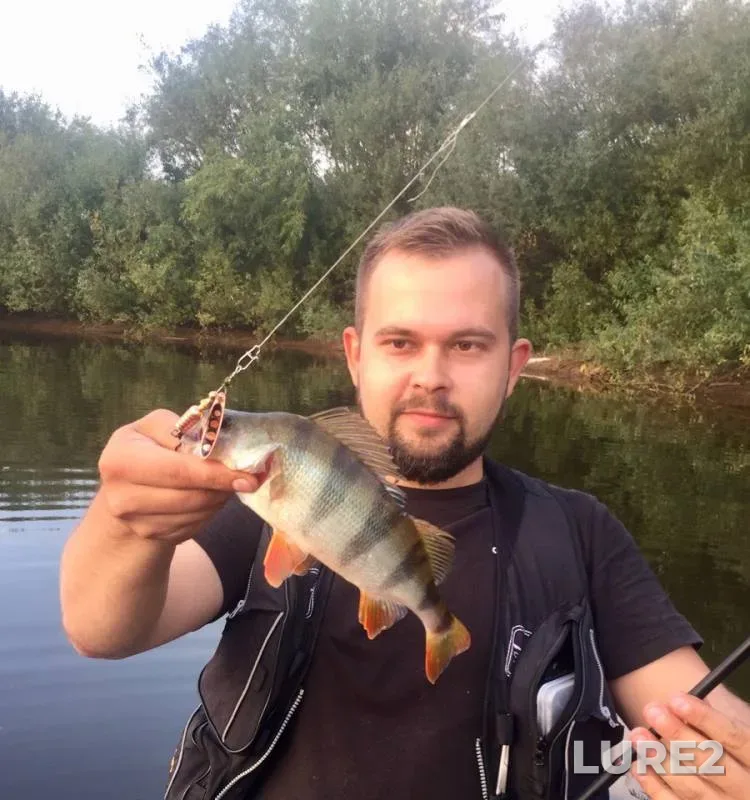 Perch — Vyatka, Sep 06, 2018