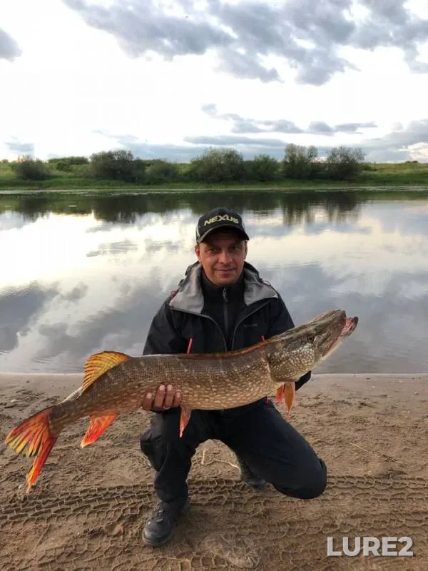 Pike — Istobnitsa, Aug 18, 2018