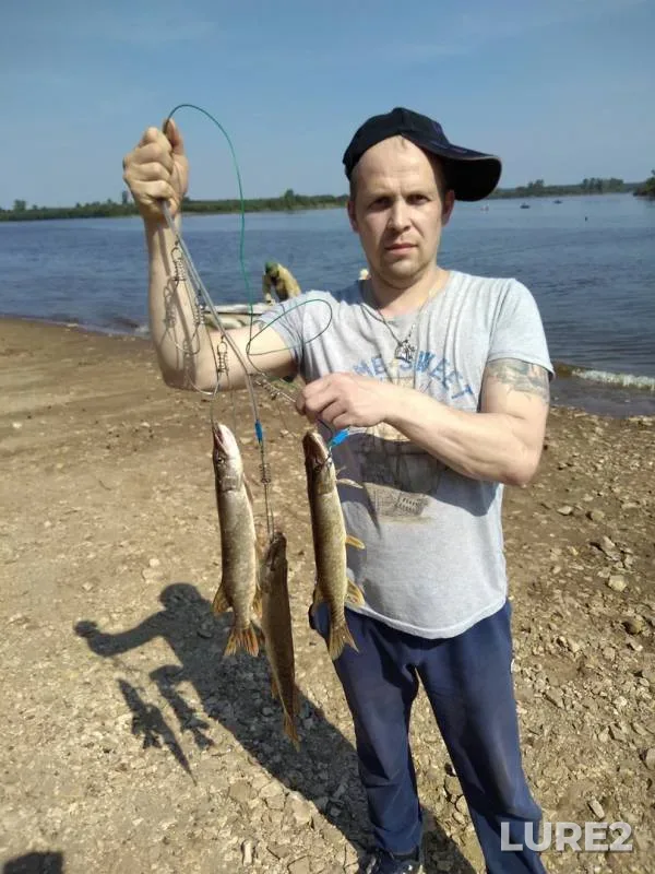Bream, Pike — Kokshaga, Aug 11, 2018
