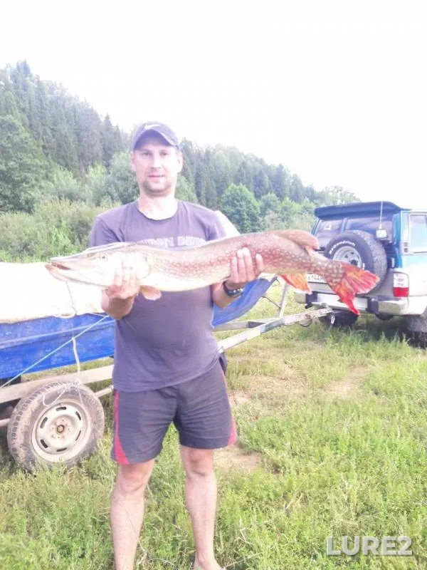 Pike — Kirovskaya oblast, Feb 15, 2018