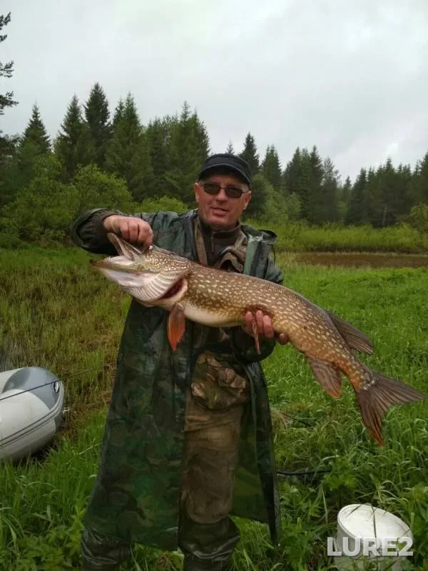 Pike — Moloma, Jun 07, 2018