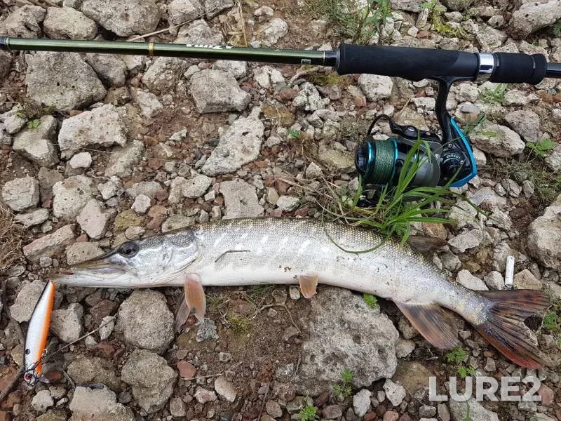 Perch, Pike — Vyatka, Apr 02, 2018