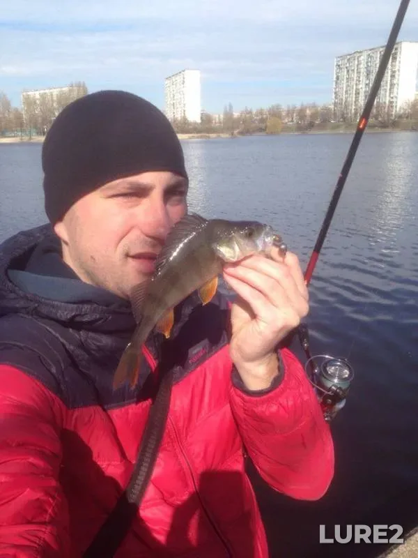 Perch — Telbin, Mar 16, 2016