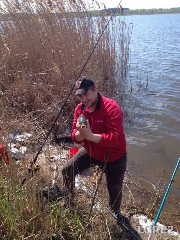 Carp — Kiїvska oblast, Apr 18, 2016