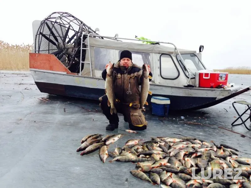 Perch, Pike — Stvornyy bank, Apr 27, 2018