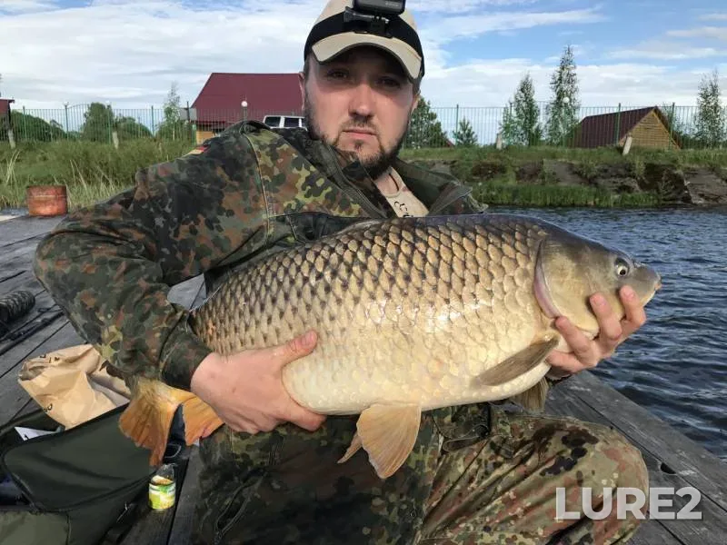 Carp — Boykovo, Oct 01, 2018