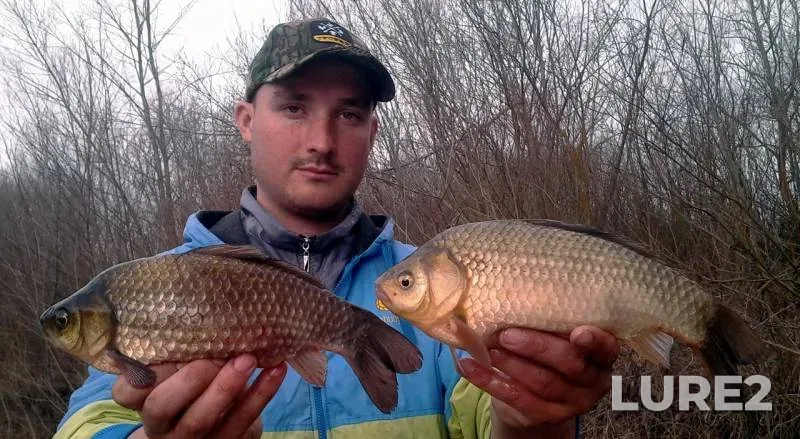 Crucian carp — Malyy Siret, Mar 05, 2016