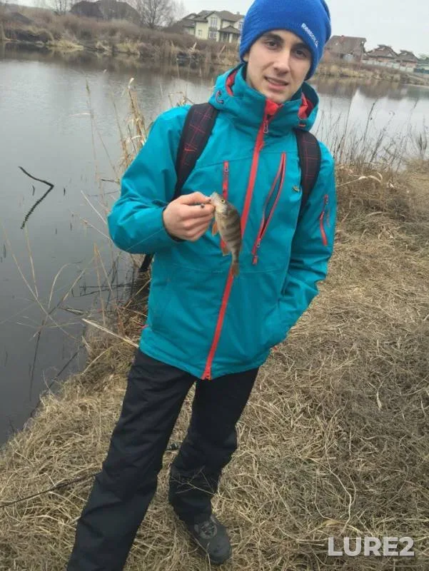Perch — Kiїvska oblast, Feb 29, 2016
